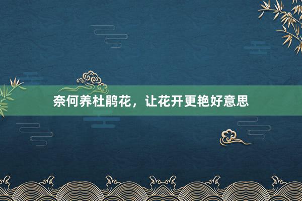 奈何养杜鹃花，让花开更艳好意思