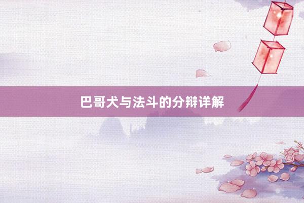 巴哥犬与法斗的分辩详解