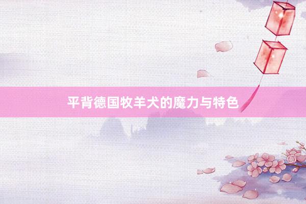 平背德国牧羊犬的魔力与特色